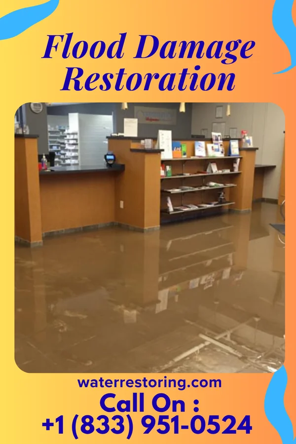 Flood Damage Restoration in Hector, MN