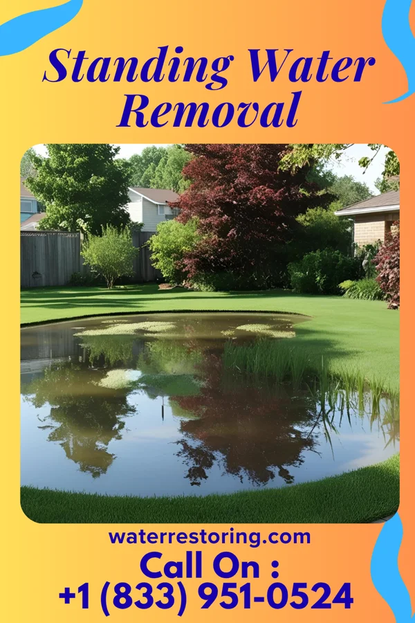 Standing Water Removal in Hector, MN